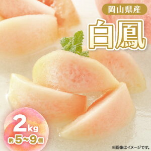 【ふるさと納税】【2026年先行予約】2026年7月中旬頃より発送予定・岡山の白桃・白鳳(2kg箱)【配送不可地域:離島】【1479360】
