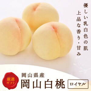 yӂ邳Ɣ[Łzys\zRY@ 6(1.5kgȏ) :C ϔyzsnFEkCEꌧzy1499099z