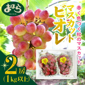 yӂ邳Ɣ[Łzy2025NxzN_Ƃ̒ց@yY}XJbgrI2[_ }XJbg Ԃǂ  uhE ʕ  Ȃ t[c lC  R ÎRs  