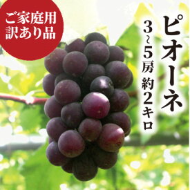 【ふるさと納税】【訳あり】ピオーネ ご家庭用 3-5房入/計2kg～(岡山県産) 訳ありでもしっかり甘い!_ ピオーネ ぶどう 葡萄 ブドウ 果物 くだもの フルーツ 訳あり 黒葡萄 美味しい 岡山県 津山市 国産 産地直送 産直 家庭用 自宅用【配送不可地域：離島】【1535985】