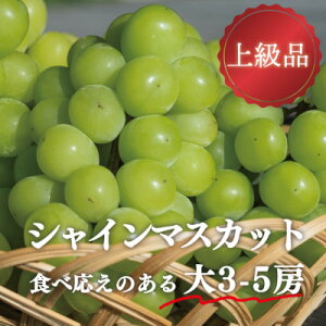 yӂ邳Ɣ[ŁzyƂt@[zVC}XJbg ㋉i 3-5[/v2.4kg~(RY)_ VC}XJbg }XJbg Ԃǂ  uhE Â ʕ  t[c R ÎR