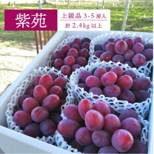 yӂ邳Ɣ[ŁzyƂt@[zCbh̕u()vIi 3-5[/v2.4kg`(RY)yzsnFzy1549077z