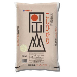 yӂ邳Ɣ[ŁzyVIizRYЂEʂނߐHה׃Zbg(e5kg×1)y1552602z