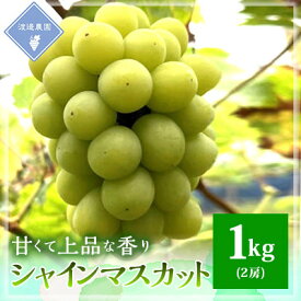 【ふるさと納税】【先行予約 2026年発送】岡山県産　シャインマスカット　2房(合計約1kg)_ ぶどう 葡萄 ブドウ シャインマスカット 緑ぶどう 種なし たねなし 皮ごと 約1kg セット 果物 フルーツ 贈答 ギフト 人気 岡山県 津山市 送料無料 【配送不可地域：離島】【1562241】