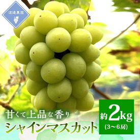 【ふるさと納税】【先行予約 2026年発送】岡山県産　シャインマスカット　3房～6房(合計約2kg)_ シャインマスカット ぶどう 葡萄 ブドウ マスカット 果物 くだもの フルーツ 種無し 岡山県 津山市 産直 産地直送 ギフト プレゼント【配送不可地域：離島】【1562256】