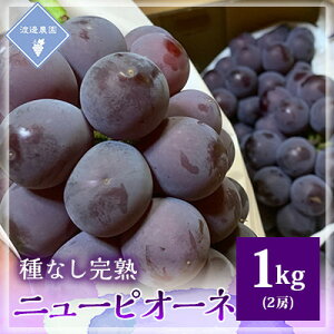 yӂ邳Ɣ[Łzys\ 2026NzRY@Ȃn j[sI[l@2[(1kg)_ Ԃǂ  uhE Ԃǂ j[sI[l 嗱 n Ȃ ˂Ȃ 1kg Zbg ʕ t[