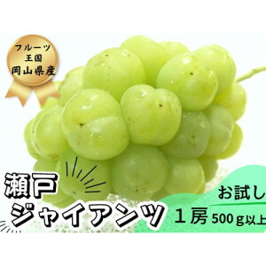 yӂ邳Ɣ[Łzy2026Ns\z@̂VN!lCԂǂ˃WCAc1[@500gȏ_ Ԃǂ  uhE ʕ t[c R ÎRs  lC  yzsn