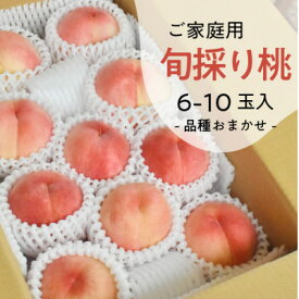 【ふるさと納税】旬採り桃(品種おまかせ) ご家庭用 6-10玉 ご家族で楽しめる玉数をお届けします (岡山県産)_ 桃 ふるさと納税 白桃 もも モモ 甘い 果物 フルーツ くだもの デザート 旬 岡山県 津山市 産直 産地直送 家庭用 品種おまかせ 【配送不可地域：離島】【1571591】