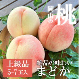 【ふるさと納税】上品な肉質の桃 「まどか」 上級品 5-7玉 (岡山県産) きよとう果樹園の人気桃!_ 桃 白桃 もも 甘い 果物 フルーツ 送料無料 岡山県 津山市 【配送不可地域：離島】【1571597】