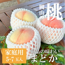 【ふるさと納税】上品な肉質 「まどか」 ご家庭用 5-7玉 (岡山県産) きよとう果樹園の人気桃!_ 桃 白桃 もも モモ まどか 甘い 果物 くだもの フルーツ 岡山県 津山市 国産 産直 産地直送 箱 家庭用 自宅用 送料無料 【配送不可地域：離島】【1571599】