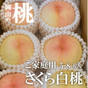 �y�ӂ邳�Ɣ[�Łz�y2026�N��s�\��z��������߂̓����ƊÂ�����i�u�����甒���v���ƒ�p 5-8�ʓ�(���R���Y)_ �� ���� ���� ���� �Â� �ʕ� �������� �t���[�c ���R�� �ÎR�s �ƒ�p ����p 