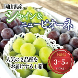 【ふるさと納税】シャインマスカット&ピオーネ 上級品 3-5房入/計2kg～ (岡山県産) 人気の食べ比べセット!_ シャインマスカット ピオーネ 食べ比べ 2kg ぶどう 贈答 岡山県 津山市 果物 フルーツ 種なし 産地直送 送料無料 ギフト 【配送不可地域：離島】【1571762】
