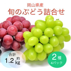 yӂ邳Ɣ[Łzy2025N9菇zRY {̂Ԃǂl 24pbNZbgyzsnFzy1575467z