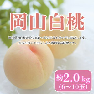yӂ邳Ɣ[Łzy2026N7\zR@2kg(6`10)_    Â R 2kg ʕ t[c  Mtg lC R ÎRs  yzsnFEkCE