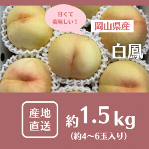 yӂ邳Ɣ[Łzy2026Ns\z2026N7{蔭\ER̔EP(1.5kg)yzsnFzy1578640z