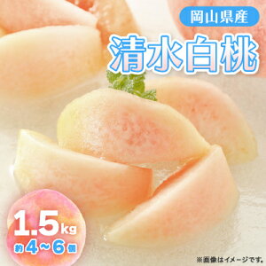 yӂ邳Ɣ[Łzy2026Ns\z2026N7{蔭\ER̔E(1.5kg)_     Â  ʕ  t[c fU[g Y Yn R 