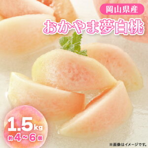 yӂ邳Ɣ[Łzys\z2026N8{蔭\ER̔Eܖ(1.5kg)_  ӂ邳Ɣ[    Â ʕ t[c  Y Yn R ÎR