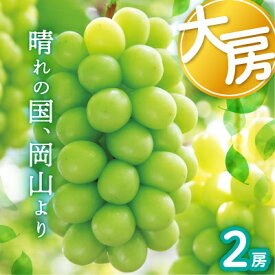 【ふるさと納税】岡山県産シャインマスカット大房【2026年9月末以降順次発送】_ シャインマスカット ふるさと納税 ぶどう 葡萄 ブドウ マスカット 果物 くだもの フルーツ 岡山県 津山市 産直 産地直送 贈答 ギフト プレゼント 送料無料 【配送不可地域：離島】【1583563】