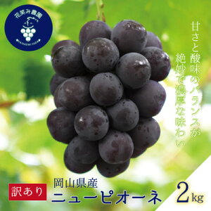yӂ邳Ɣ[ŁzR@ԏ΂ݔ_́w󂠂j[sI[lx2kg@WP-2y2025N9`z_ Ԃǂ j[sI[l  uhE RY ʕ  t[c 󂠂 R ÎRs 