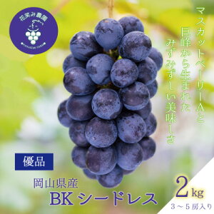 yӂ邳Ɣ[ŁzR@ԏ΂ݔ_́wBKV[hXx2kg(3`5[)Di@B-2Dy2025N9{`z_ Ԃǂ  uhE BKV[hX RY ʕ  t[c Mtg R 
