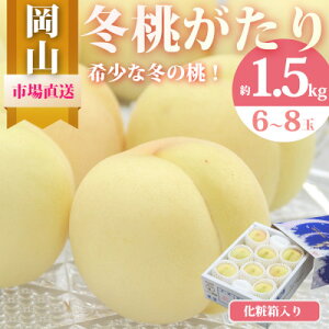 yӂ邳Ɣ[Łz~ 6`8(1.5kg) ϔ_    ~ ӂ ~̓ 󏭕i  ʕ t[c  Mtg ϔ lC R ÎRs  yz