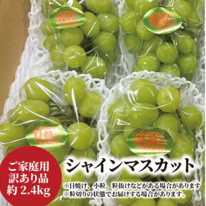 yӂ邳Ɣ[ŁzyƂt@[z󂠂i VC}XJbg/2.4kg(RY)_ VC}XJbg Ԃǂ  uhE }XJbg ʕ  t[c 󂠂 Â R ÎR