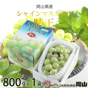 yӂ邳Ɣ[Łzy2025N8菇zRY@VC}XJbg@@800g×1[_ VC}XJbg ӂ邳Ɣ[ Ԃǂ  uhE }XJbg ʕ  t[c Y 