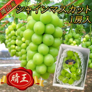 yӂ邳Ɣ[Łzy2026N8{ȍ~zRYyzVC}XJbg1[650gGi!yzsnFzy1612175z