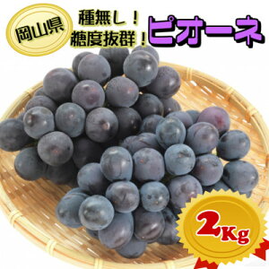 yӂ邳Ɣ[Łzy2026NzxQԂǂyGizRY!ȂsI[l2kgȏ(3`4[)@MtgɂyzsnFzy1612201z