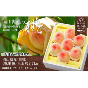 【ふるさと納税】【2026年発送】岡山県産 白桃(晩生種)約2.2kg(大玉6〜7玉)【配送不可地域:離島】【1614018】