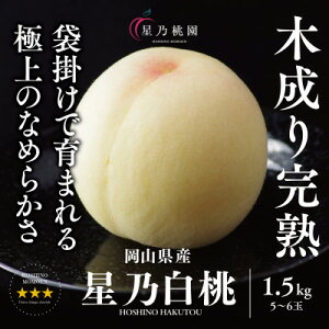 yӂ邳Ɣ[ŁzyTzR̓炨͂O̓1.2kg(4`5)/1.5kg(5`6)/780g_    RY  Â ʕ  t[c R ÎRs lC  