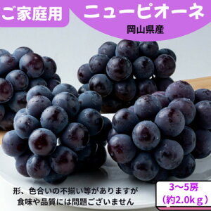 yӂ邳Ɣ[Łzys\zƒp j[sI[l 2.0kg(3`5[)yzsnFzy1614296z