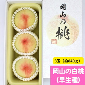 【ふるさと納税】【2026年発送】岡山の白桃(早生種)　大玉3玉(約840g)【配送不可地域：離島】【1614301】