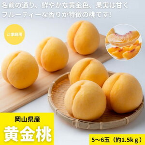 yӂ邳Ɣ[Łzy2026Nzƒp@RY@1.5kg(5`6)yzsnFzy1614333z