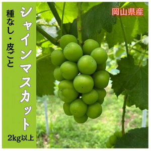 �y�ӂ邳�Ɣ[�Łz�y2026�N��s�\��z���R�̂Ԃǂ�(�V���C���}�X�J�b�g)2kg(3�`5�[)_ �Ԃǂ� �u�h�E �V���C���}�X�J�b�g �΂Ԃǂ� ��Ȃ� ���˂Ȃ� 2kg �Z�b�g �ʕ� �t���[�c ���� �M�t�g �l�C ��