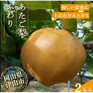 yӂ邳Ɣ[Łz2025N11{菇\@ ӂ(2ʓ)_   Ȃ Ȃ a iV RY uh Â lC 2 ʕ  t[c fU[g R