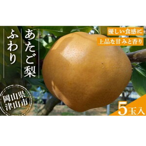 yӂ邳Ɣ[Łz2025N11{菇\@ ӂ(5ʓ)_   Ȃ Ȃ a iV RY uh Â lC 5 ʕ  t[c fU[g R