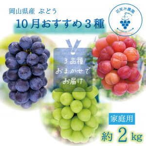 yӂ邳Ɣ[ŁzR@ԏ΂ݔ_̃uhEw103Zbgxƒp(3[)@3M-2LƁy10`zyzsnFEkCEꌧzy1626672z