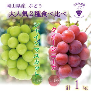 yӂ邳Ɣ[Łzy2026Ns\zR@ԏ΂ݔ_́wNC[j[i&VC}XJbgx1kg(2[)QS-1yzsnFEkCEꌧzy1627772z