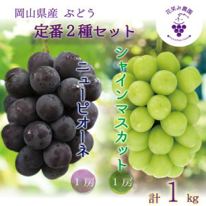 yӂ邳Ɣ[Łzy2026Ns\zR@ԏ΂ݔ_́wj[sI[l&VC}XJbgx1kg(2[)PS-1yzsnFEkCEꌧzy1627783z