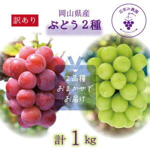 yӂ邳Ɣ[ŁzR@ԏ΂ݔ_́w󂠂2MIXxuhE1kg@W2M-1y9{`zyzsnFEkCEꌧzy1628310z