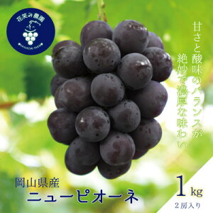 yӂ邳Ɣ[ŁzR@ԏ΂ݔ_́wj[sI[lx1kg(2[)@P-1y9{`zyzsnFEkCEꌧzy1628315z