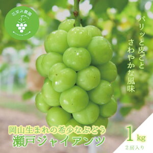 yӂ邳Ɣ[ŁzR@ԏ΂ݔ_̃uhEw˃WCAcx1kg(2[)@G-1y9{`zyzsnFEkCEꌧzy1628319z
