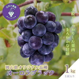 yӂ邳Ɣ[Łzy2026Ns\zR@ԏ΂ݔ_̃uhEwI[ubNx1kg(2[)@A-1yzsnFEkCEꌧzy1628324z