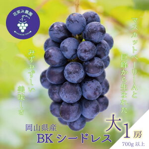 yӂ邳Ɣ[ŁzR@ԏ΂ݔ_̃uhEwBKV[hXx700gȏ(1[)@B-1y9{`zyzsnFEkCEꌧzy1628326z