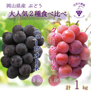 yӂ邳Ɣ[Łzy2026Ns\zR@ԏ΂ݔ_́wj[sI[l&NC[j[ix1kg(2[)@PQ-1yzsnFEkCEꌧzy1629357z