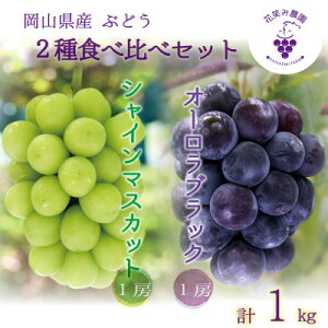 yӂ邳Ɣ[Łzy2026Ns\zR@ԏ΂ݔ_́wI[ubN&VC}XJbgx1kg(2[)ASyzsnFEkCEꌧzy1629359z