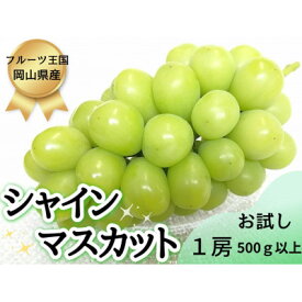 【ふるさと納税】【2026年先行予約】お試し(訳あり)フルーツ王国岡山シャインマスカット　朝採れぶどう(500g～)_ ぶどう 葡萄 シャインマスカット 果物 くだもの フルーツ 人気 おすすめ 送料無料 岡山 【配送不可地域：離島】【G1633322】