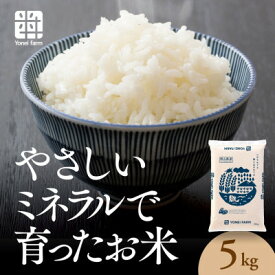 【ふるさと納税】おいしいお米(5kg)無洗米　リピーター続出【1647875】