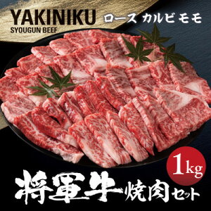 yӂ邳Ɣ[ŁzIēZbg [X Jr  3(500g/1kg)yzsnFEkCEꌧzyG1652110z